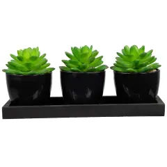 Northlight Mini Artificial Potted Succulents with Wood Planter - 5" - Set of 3 Black