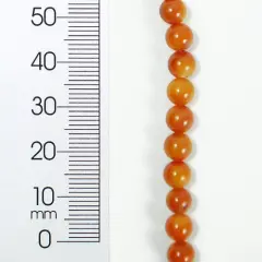 6 Packs of Tinted Shell Round2x8" Strand