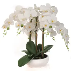 Set of 2: White Phalaenopsis Orchid Arrangement in White Ceramic Vase | 18-Inch | Lifelike Silk Flowers & Foliage | Table Centerpieces & Arrangements | Home & Office Decor