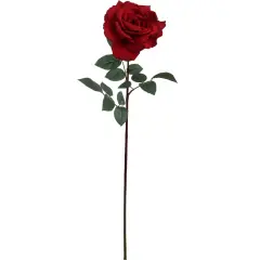 30" Red Queen Anne Rose Stem - Set of 12, Lifelike Silk Roses, Elegant Floral D&eacute;cor, Perfect for Arrangements, Events & Home - Ideal for All Seasons, Floral Home by Artificial Flowers