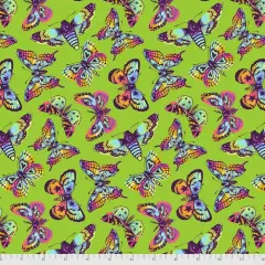 Butterfly Kisses - Avocado || Daydreamer