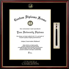 College of Charleston 16w x 20h Tassel Box and Diploma Frame
