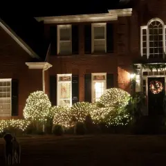 4' x 8' Clear Christmas Net Lights, 200 Lamps on Green Wire