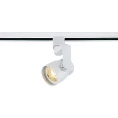 Nuvo TH421 12 Watt LED Track Head White Finish 24 Degree Beam Angle Clear