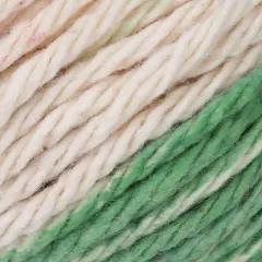 Lily Sugar'n Cream Yarn - Stripes