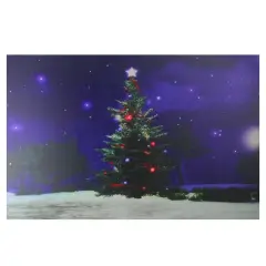 Northlight Fiber Optic and LED Lighted Christmas Tree Canvas Wall Art - 15.5" x 23.5" Green