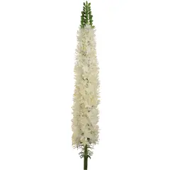 6-Pack: Cream Foxtail Spray with Silk Flowers, Floral Home by Artificial Flowers