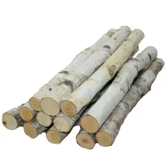 Wilson Decorative White Birch Logs, Natural Bark Wood Home Decor (Set of 12) - 15.5"-17.5" Length 1"-1.5" Dia.