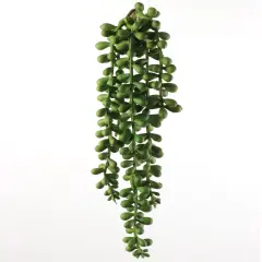 13" Artificial Hanging Senecio Plants, Box of 24 - Lifelike Greenery, Indoor/Outdoor Use, Perfect for Home, Office & Event D&eacute;cor - Year-Round Accent, Floral Home by Artificial Flowers