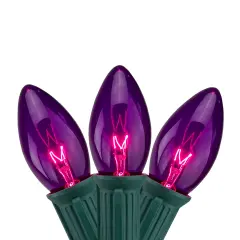 Northlight Transparent C9 Christmas String Lights - Purple - 24' Green Wire - 25ct