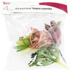CousinDIY Succulent 4/Pkg-Assorted