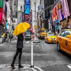 Man with yellow umbrella at Times square, New York Poster Print byAssaf Frank - Item # VARPDXAF20131115136PC02