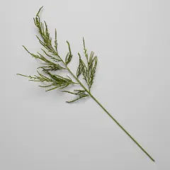 Summer Green Spiny Amaranthus Spray Eco-friendly Artificial Stems by Bloomist