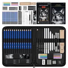 50 Pack Drawing Set Sketch Kit, Pro Art Sketching Supplies with 3-Color Sketchbook, Graphite, and Charcoal Pencils for&nbsp;Artists Adults Teens Beginner Kid, Ideal for Shading, Blending