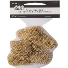 FolkArt Sponge Set 5/Pkg