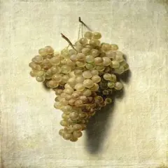 White Grapes - Raisons Blancs Poster Print byLouis Leopold Boilly - Item # VARPDX281741