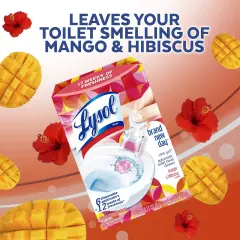 Click Gel Automatic Toilet Bowl Cleaner, Gel Toilet Bowl Cleaner, For Cleaning and Refreshing, Mango & Hibiscus, 6 applicators.