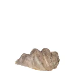 Clam Sea Shell Life Size Statue