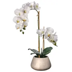 Real Touch Phalaenopsis Orchid in Cement Pot 24" White