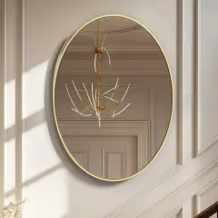 Wisfor Wall Mirror Brushed Gold Aluminum Framed Vanity Accent Mirror Living Room