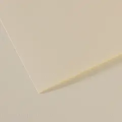 Canson Mi-Teintes Drawing Paper - 8-1/2" x 11", Lily, 25 Sheets