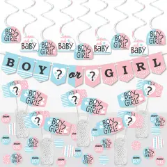 Big Dot of Happiness Baby Gender Reveal - Team Boy or Girl Party Supplies Decoration Kit - Decor Galore Party Pack - 51 Pieces