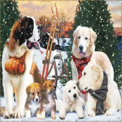 Sunsout Winter Sportsmen 300 pc Jigsaw Puzzle 42265