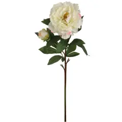Lifelike 30" Cream and Pink Silk Peony Stem - Perfect for Floral Arrangements and DIY Crafts"