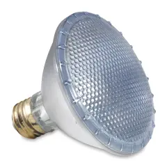 Chromalux Full Spectrum Halogen Light Bulb - 75W