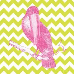 Bright Menagerie Toucan Poster Print by Wild Apple Portfolio - Item # VARPDX25686