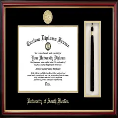 University of South Florida 11w x 8.5h Tassel Box and Diploma Frame