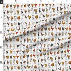 Various Fabrics by the Yard or Fat Quarter Chickens World Chicken Illustration Cute Rooster Modern Farmhouse Farm Animal Shabby Chic Kitchen Livestock Custom Printed Fabric by Spoonflower