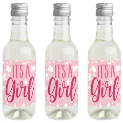 Big Dot of Happiness It's a Girl - Mini Wine and Champagne Bottle Label Stickers - Pink Baby Shower Favor Gift for Women and Men - Set of 16