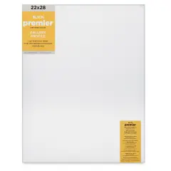 Blick Premier Stretched Cotton Canvas - Gallery Profile, Splined, 22" x 28"