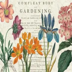 Botany Poster Print by Sue Schlabach - Item # VARPDX15166