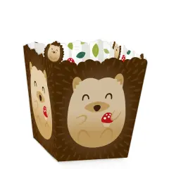 Big Dot of Happiness Forest Hedgehogs - Party Mini Favor Boxes - Woodland Birthday Party or Baby Shower Treat Candy Boxes - Set of 12