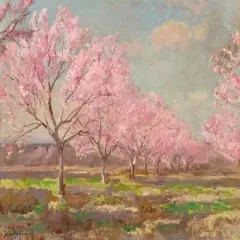 Peach orchard on Mavericks farm Poster Print byJulian Onderdonk - Item # VARPDX3AA3071