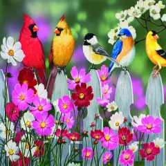 Sunsout Songbirds and Cosmos 500 pc Jigsaw Puzzle 30448