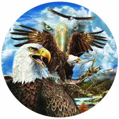 Sunsout 13 Eagles 1000 pc Round Jigsaw Puzzle 46591