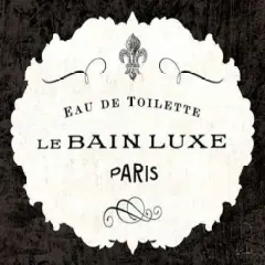 Le Bain Luxe I Poster Print by Sue Schlabach - Item # VARPDX13389