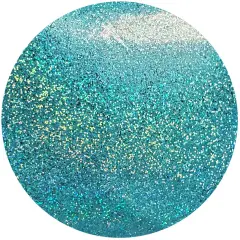 We R Spin It Fine Glitter 10oz