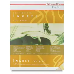 Hahnemuhle Ingres Pad - 9.4" x 12.2", Assorted, 20 Sheets