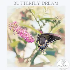 Butterfly Dream