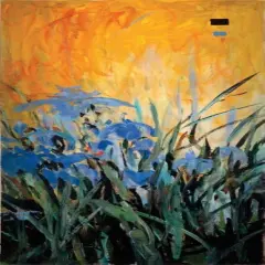 Golden Winged Garden II Poster Print by Don Li-Leger - Item # VARPDX16026