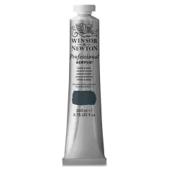 Winsor & Newton Professional Acrylics - Payne's Gray, 200 ml tube