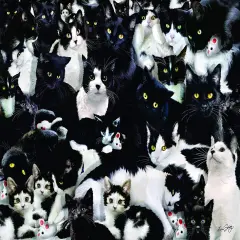 Sunsout Study in Black and White 1000 pc Jigsaw Puzzle 35180