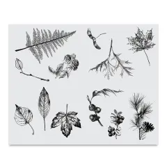 Mayco Designer Silkscreens - Leaves