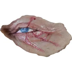 Halloween Michael Myers Dead Eye Appliance Costume Accessory