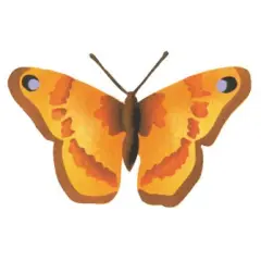 Admiral Butterfly Wall Stencil | 2684 by Designer Stencils | Animal & Nature Stencils | Reusable Art Craft Stencils for Painting on Walls, Canvas, Wood | Reusable Plastic Paint Stencil for Home Makeover | Easy to Use & Clean Art Stencil