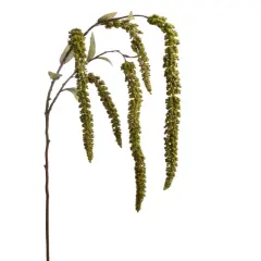 30" Hanging Green Amaranthus Spray - 24-Pack, Lifelike Cascading Greenery, Perfect for Floral Arrangements, Events & Home D&eacute;cor - Ideal for All Seasons, Floral Home by Artificial Flowers